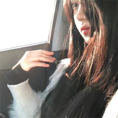 雄狗狗大冒险
