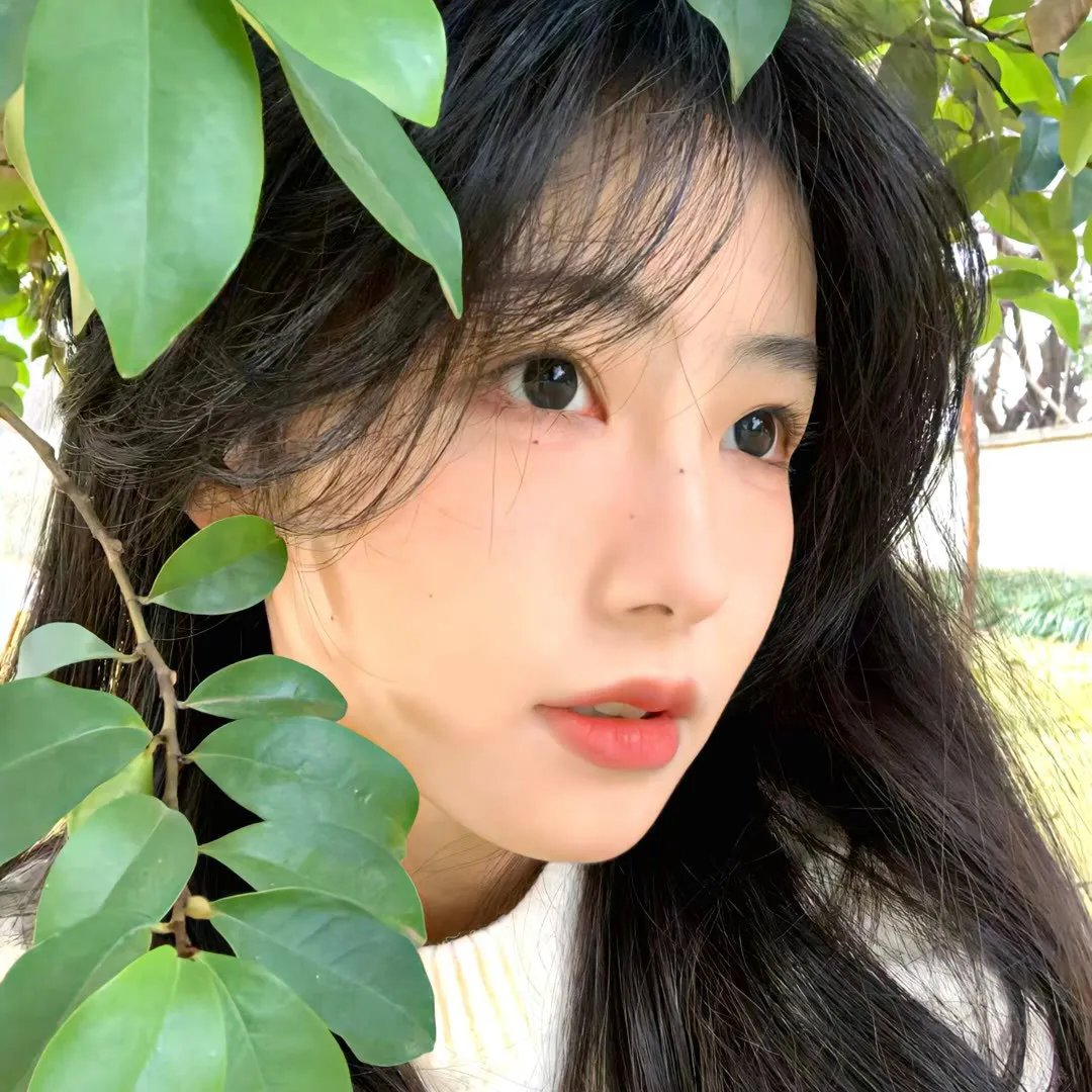 鬼魂的传讯